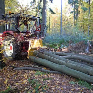 ihc maico 554