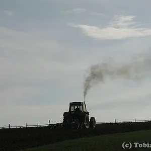 Tobias