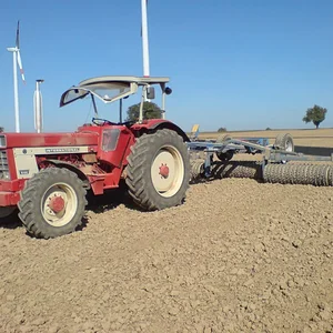Alex 946