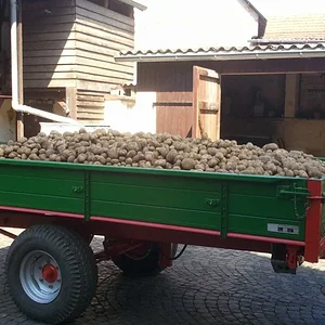 Kartoffelernte 2011