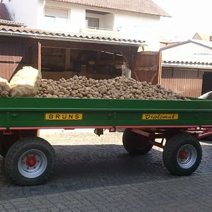 Kartoffelernte 2011