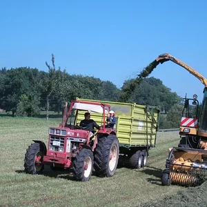 Gras häckseln