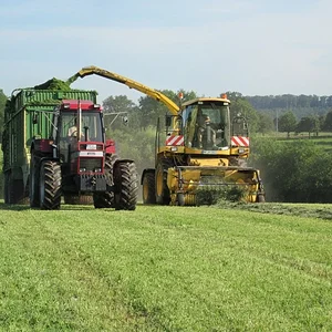 Gras häckseln