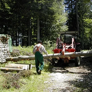 Brennholzarbeiten 2011
