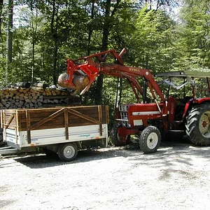 Brennholzarbeiten 2011
