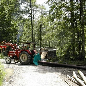 Brennholzarbeiten 2011