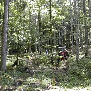 Brennholzarbeiten 2011