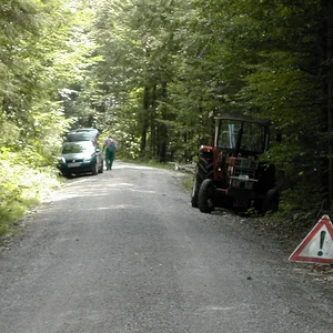 Brennholzarbeiten 2011