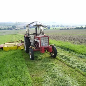 Bernd