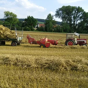 Bernd