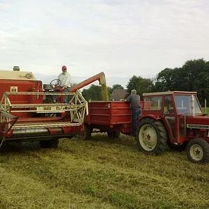 Dreschen 2011         100% IHC