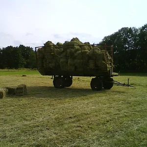 Heu 2011 die zweite