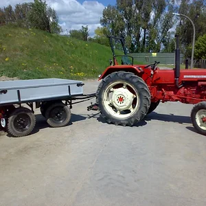 Maik D439