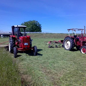 Maik D439