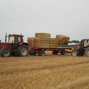1056XL & 1455XL