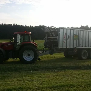 IHC 955
