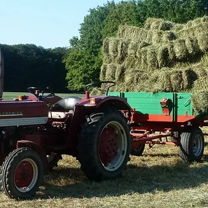IHC 433/323