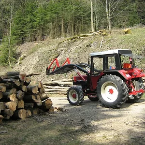 644 im Holz Frühjahr 2011