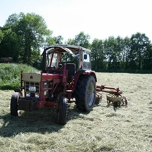 Harti361