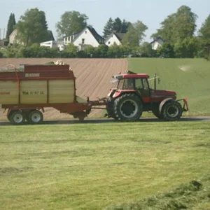 1. Schnitt 2011