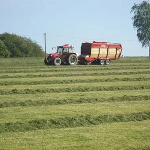 1. Schnitt 2011