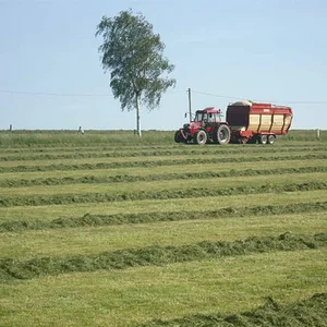 1. Schnitt 2011