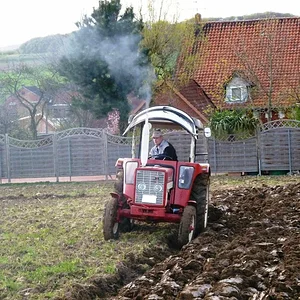 Ackergaul