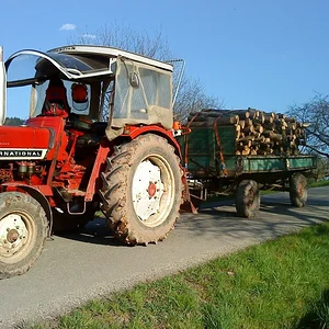 Holz holen