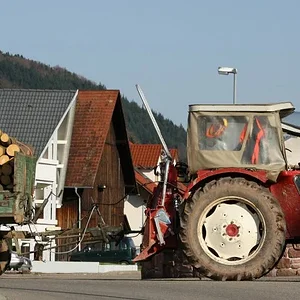 Holz holen