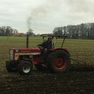 Benedikt
