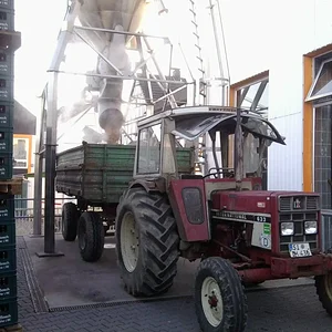 blb 353raupe