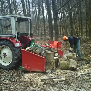 423 im Wald