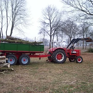 Holz 2011