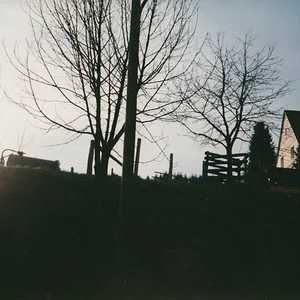 Andre Wust