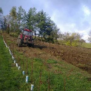 ih farmer
