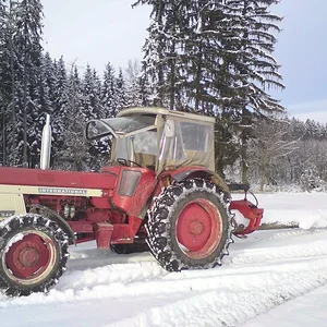 946 im Wald
