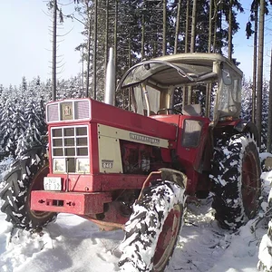 946 im Wald