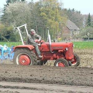 D324