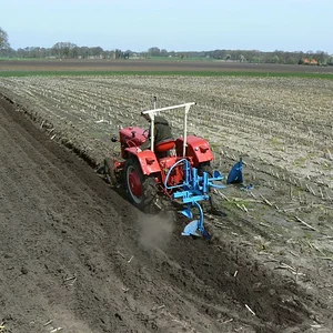 D324