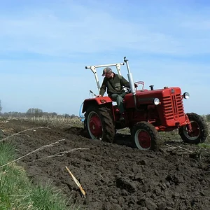 D324