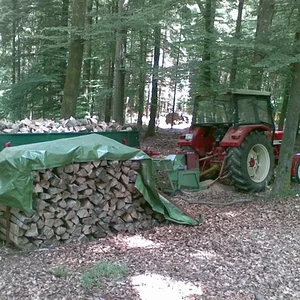 IHC743s
