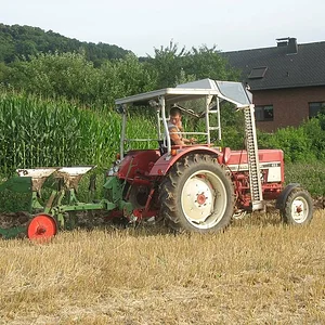Pflug noch unrestauriert