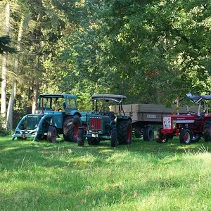 1. Holzeinsatz 2010