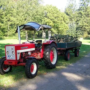 1. Holzeinsatz 2010