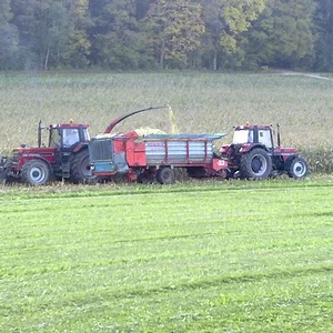 Maishäckseln 2010