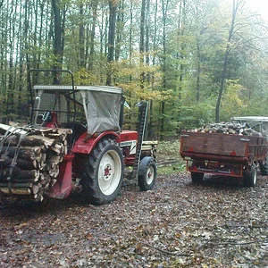 Im Wald