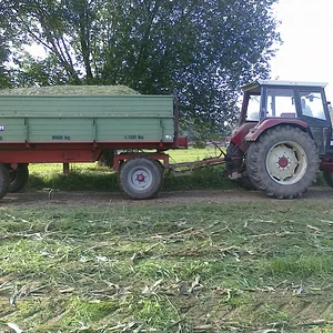 Mais Transport
