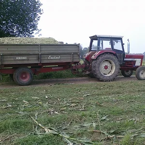 Mais Transport