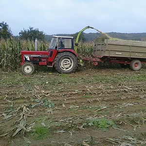 Mais fahren