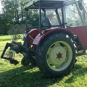 Kartoffeln 2010